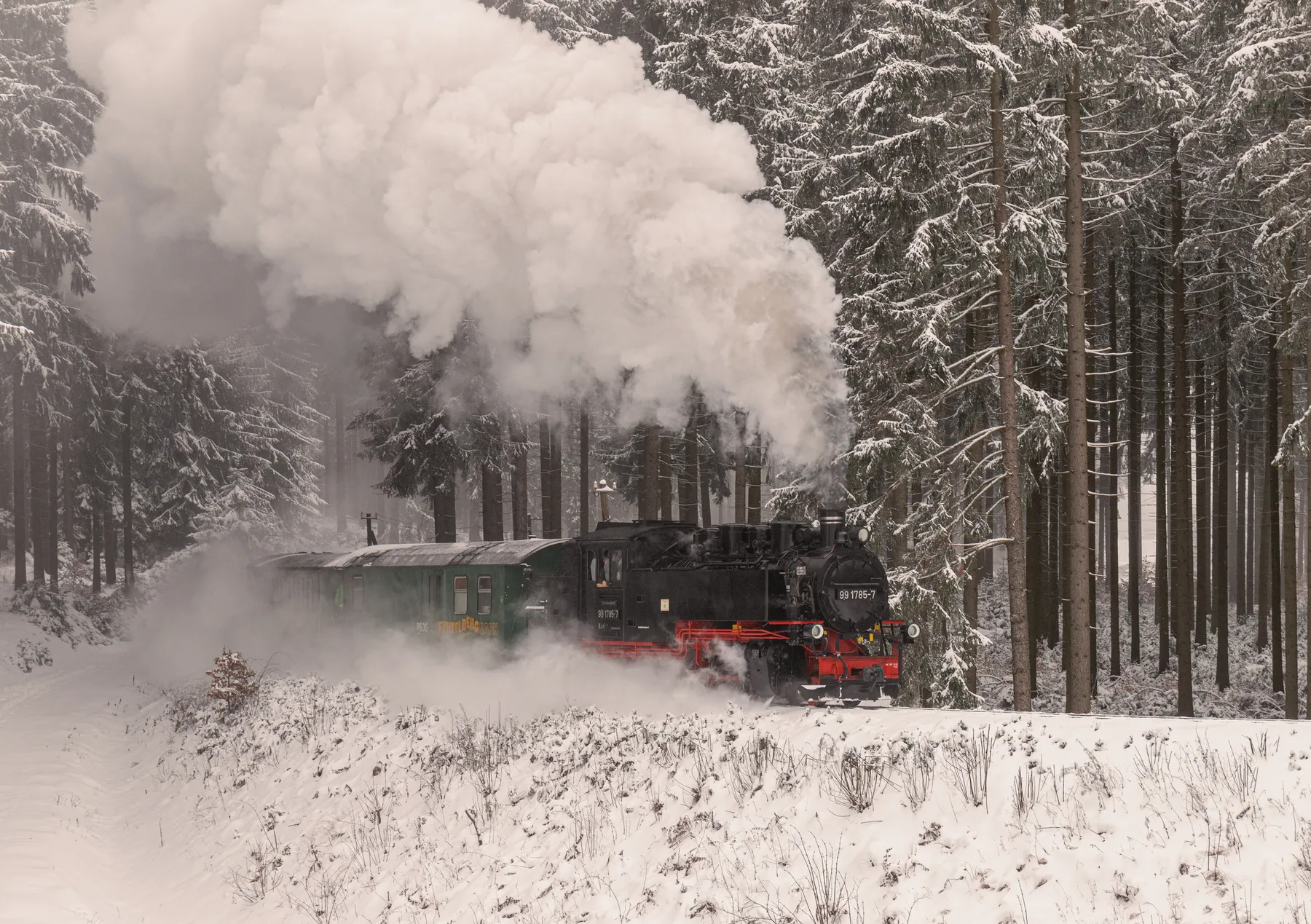 Dampflok der Fichtelbergbahn fährt durch verschneiten Wald mit aufsteigendem Dampf