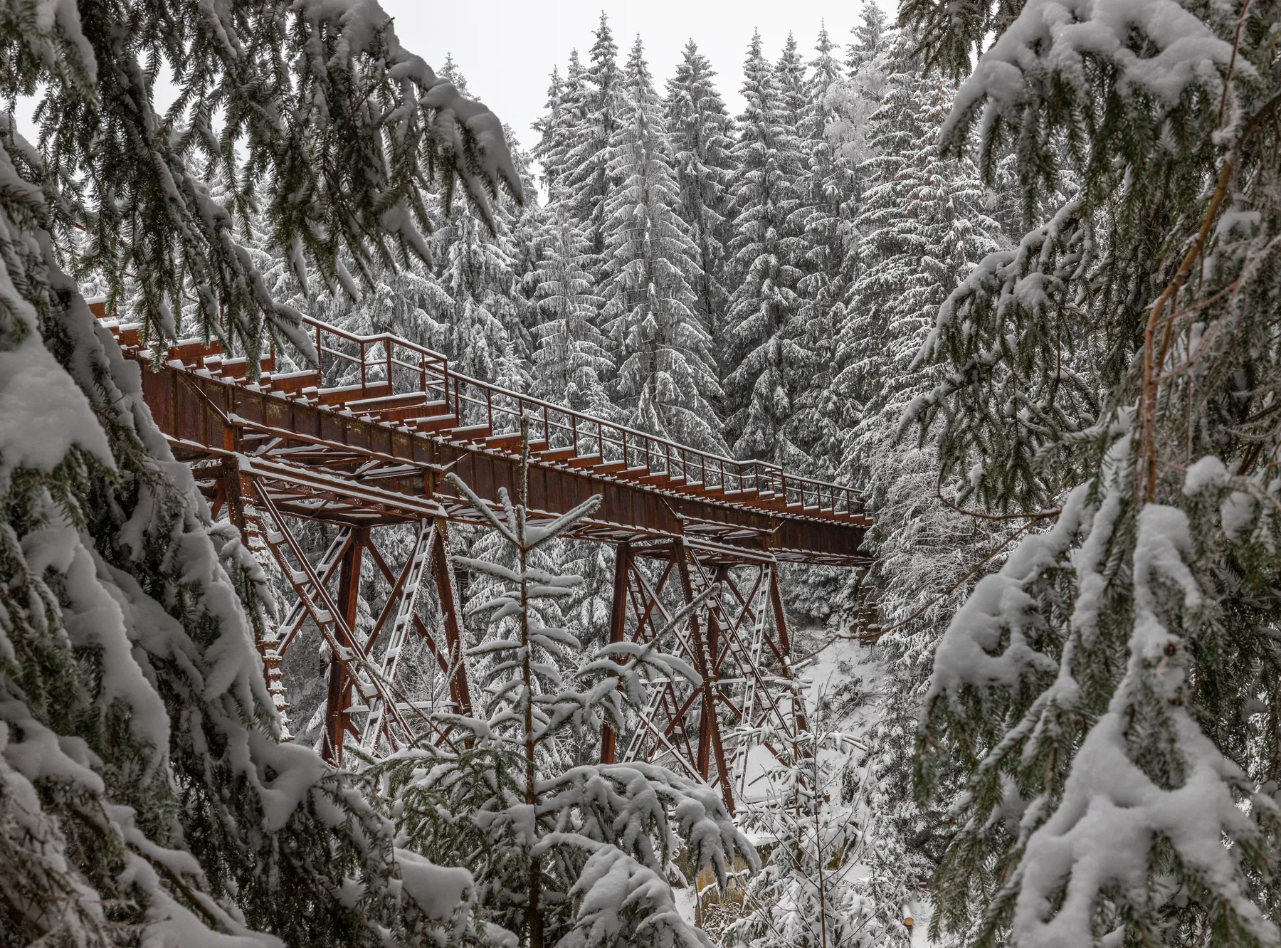 Fuchsbrunnbrücke bei Zwönitz in verschneitem Winterwald