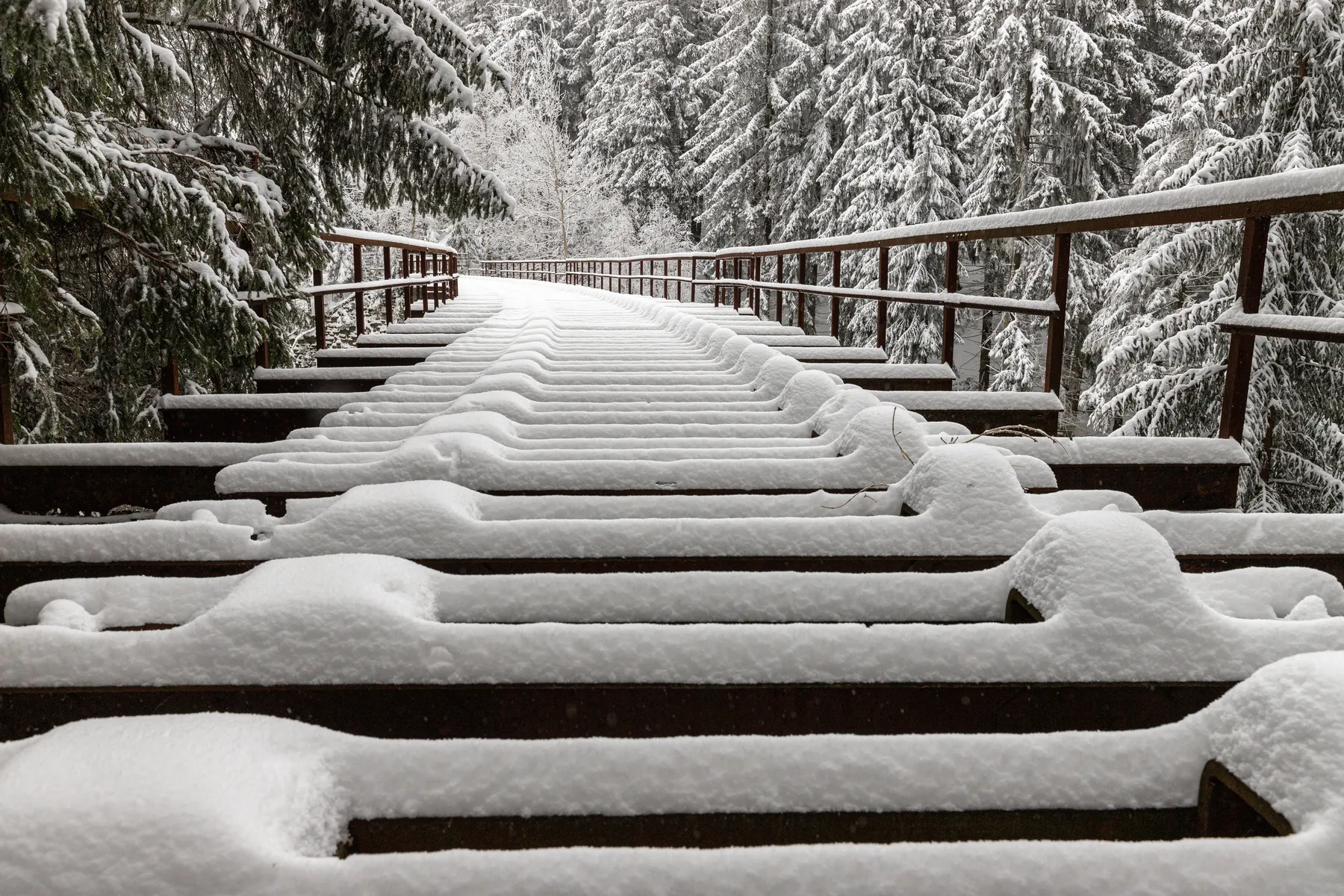 Verschneite Gleisschwellen der alten Fuchsbrunnbrücke in dichtem Winterwald
