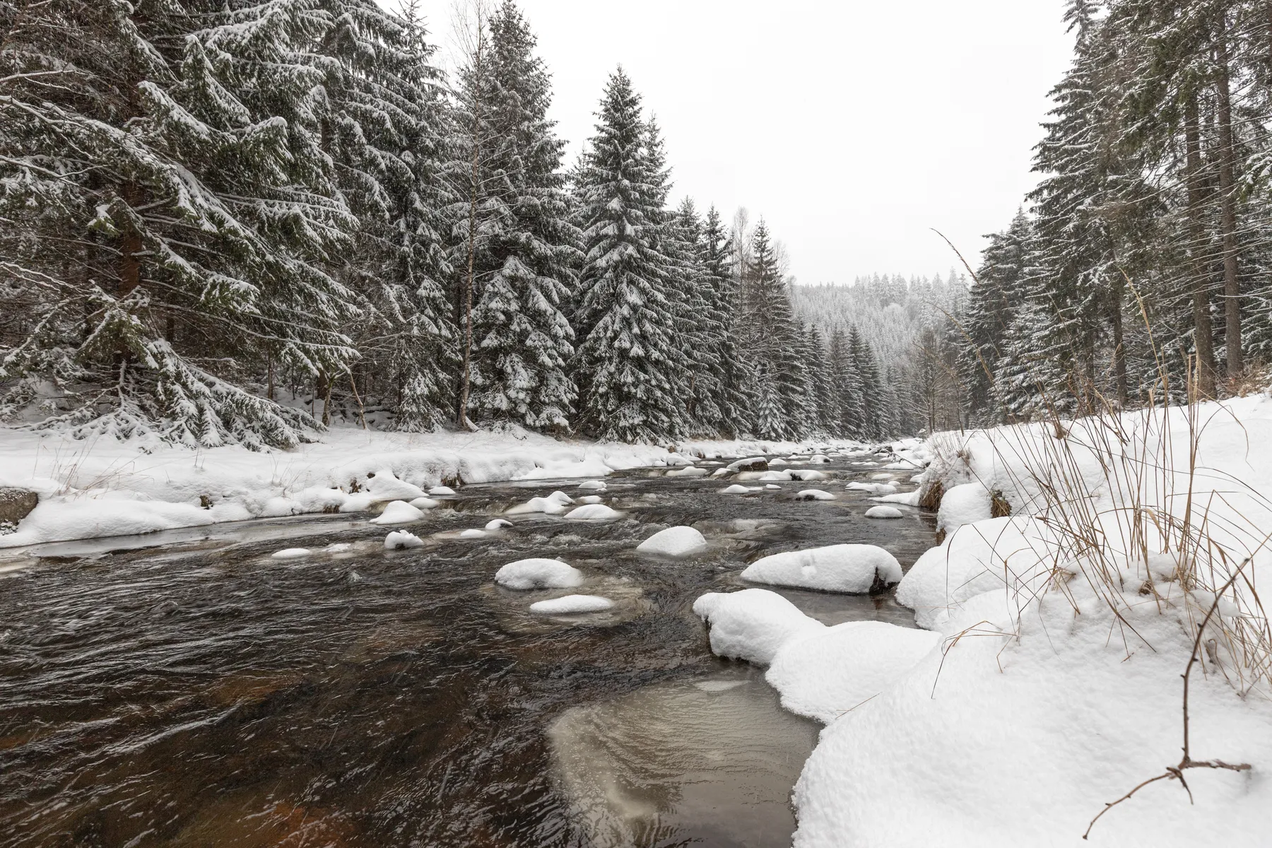 Flusslauf des Schwarzwassers im Schwarzwassertal mit schneebedeckten Steinen in winterlicher Waldlandschaft