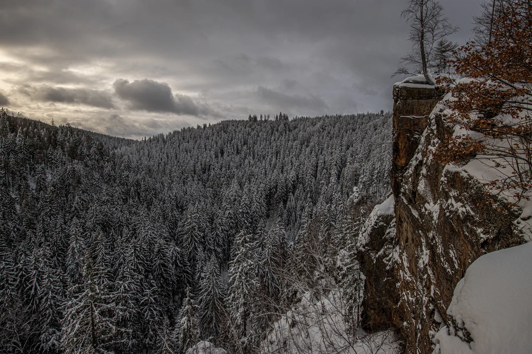 Steile Felsformation des Katzensteins im Schwarzwassertal mit Blick über einen verschneiten Nadelwald unter dramatischem Winterhimmel