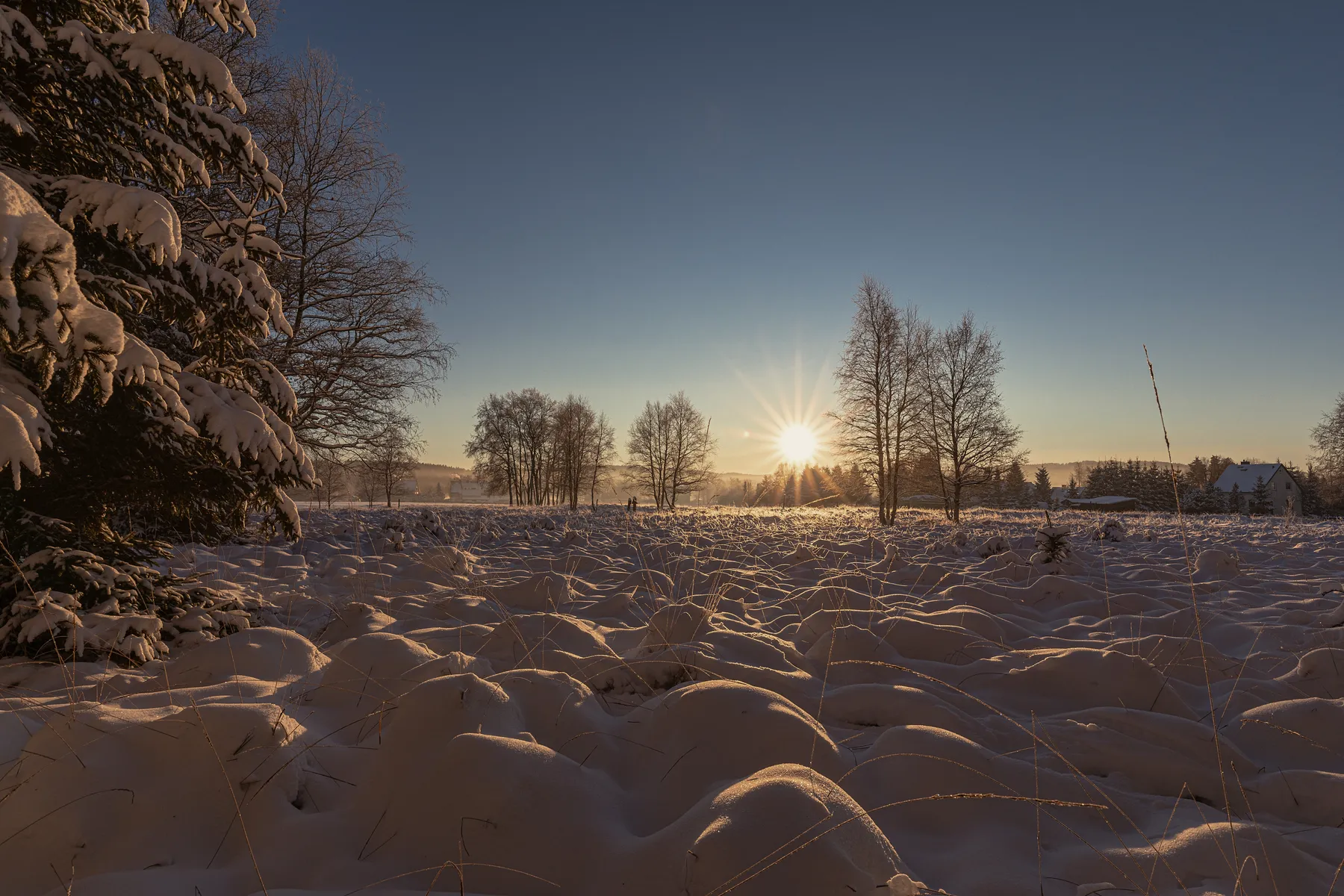 Winterliche Wiesenlandschaft mit tiefstehender Sonne im Erzgebirge