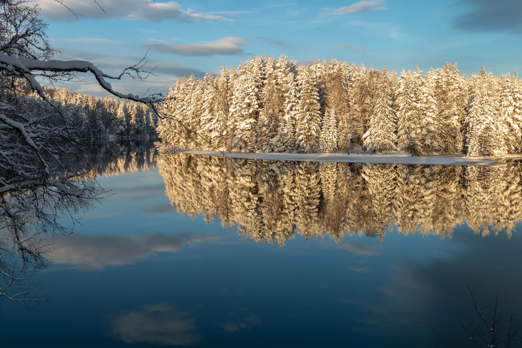 In einem ruhigen See spiegeln sich schneebedeckte Nadelbäume und ein blauer Himmel mit vereinzelten Wolken; kahle Äste rahmen die linke Seite der Szene ein.