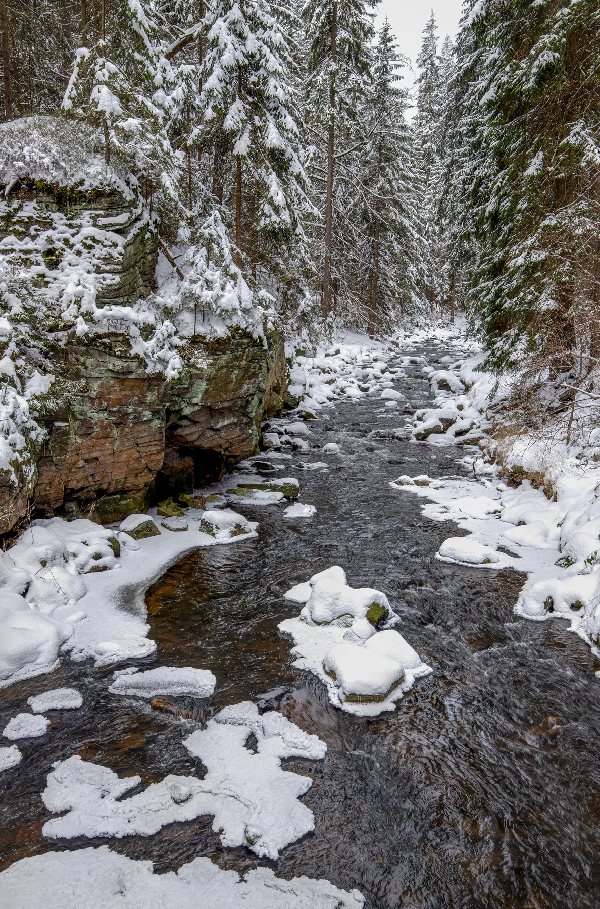 Winterlicher Bachlauf im Schwarzwassertal zwischen schneebedeckten Felsen und Nadelwald, ruhige Naturstimmung
