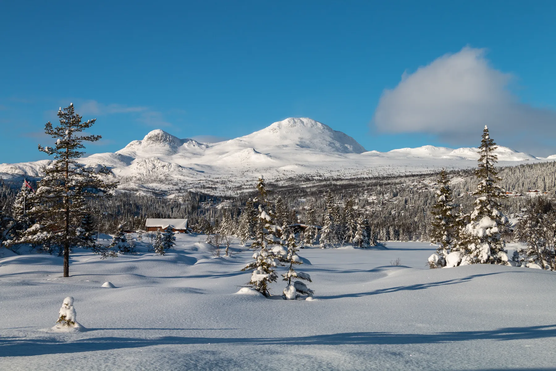 Landschaftsfotografie einer schneebedeckten Landschaft im norwegischen Hochgebirge mit vereinzelten Kiefern, Holzhütten und fernen Bergen unter einem klaren blauen Himmel mit ein paar Wolken.