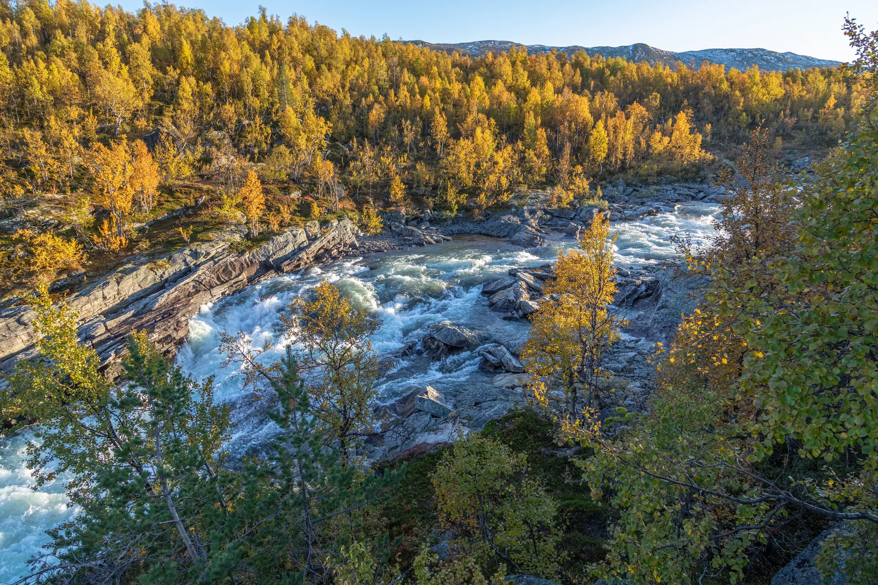 Landschaftsfotografie eines reißenden Flusses der durch ein felsiges Flussbett strömt und von herbstlichen Bäumen umgeben ist
